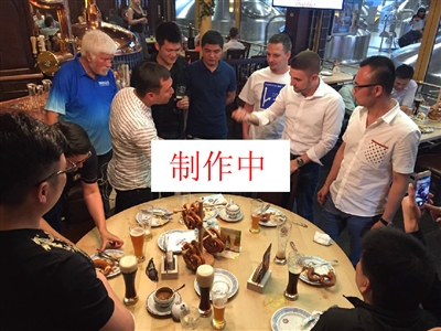 传闻：Vitality计划与dupreeh合作建立学院